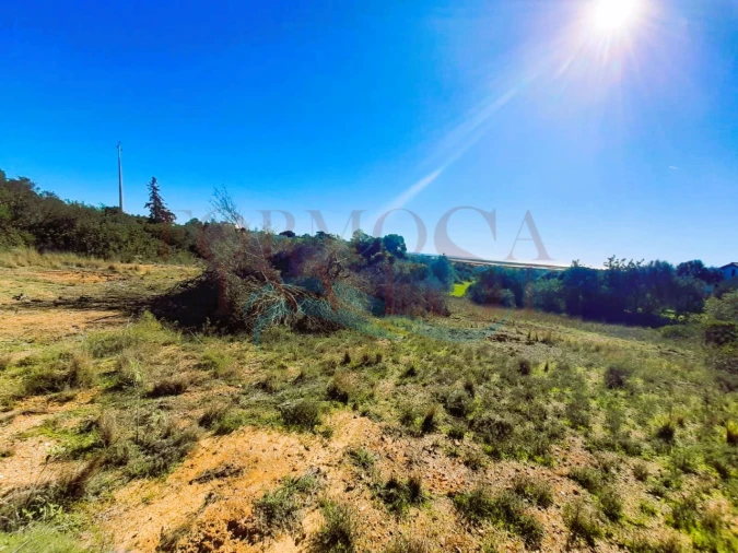 Terreno Agricola ou Rústico para Venda em Moncarapacho e Fuseta Foto 4
