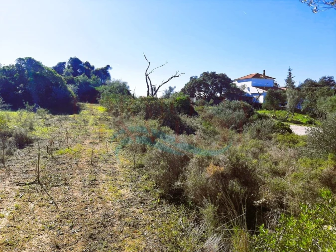 Terreno Agricola ou Rústico para Venda em Moncarapacho e Fuseta Foto 11