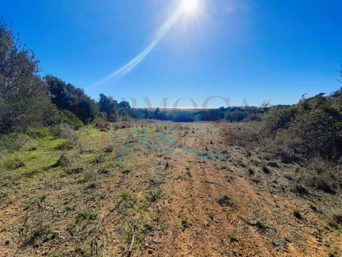 Terreno Agricola ou Rústico para Venda em Moncarapacho e Fuseta Foto 3