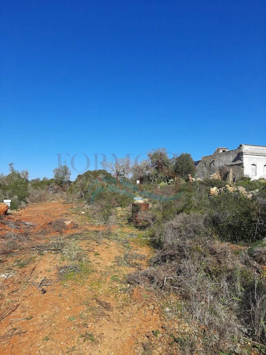 Terreno Agricola ou Rústico para Venda em Moncarapacho e Fuseta Foto 6