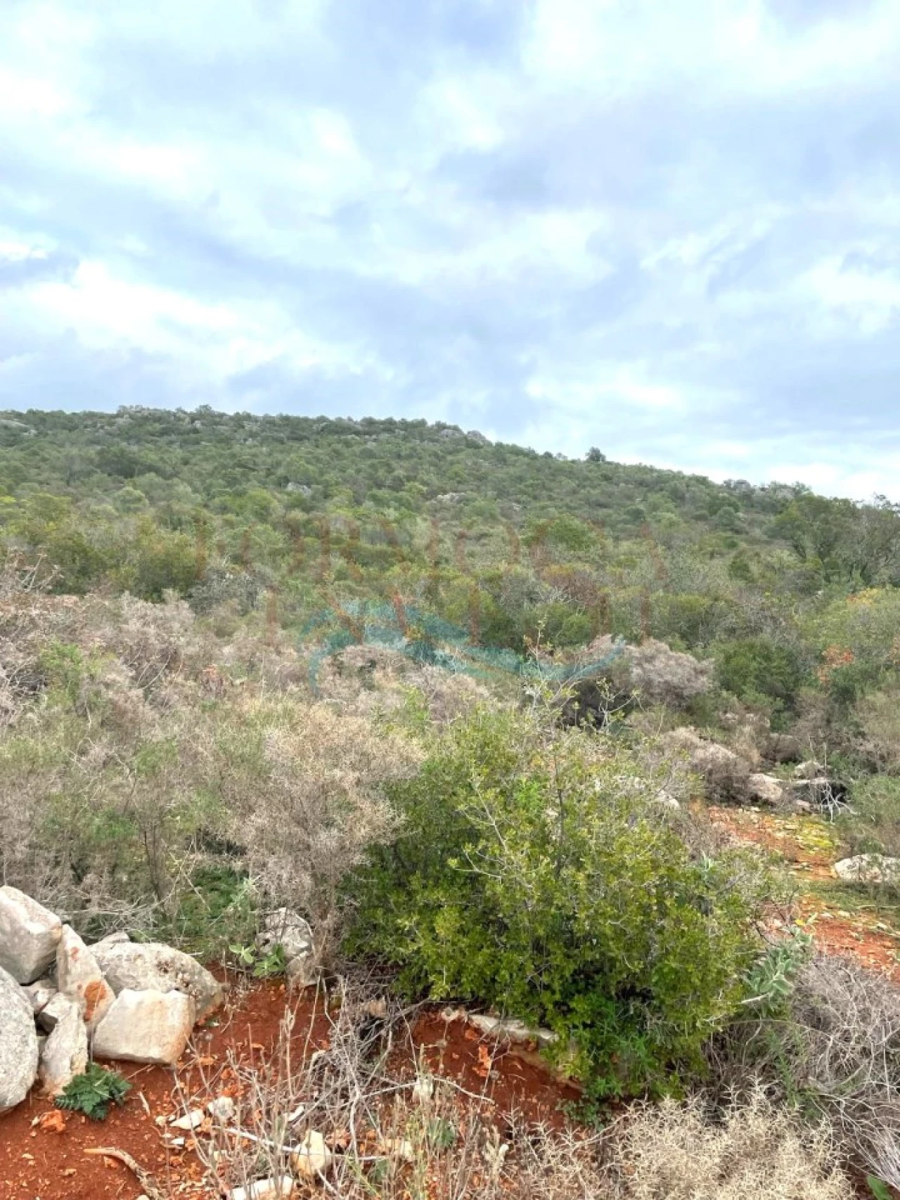 Terreno Agricola ou Rústico para Venda em Moncarapacho e Fuseta Foto 2