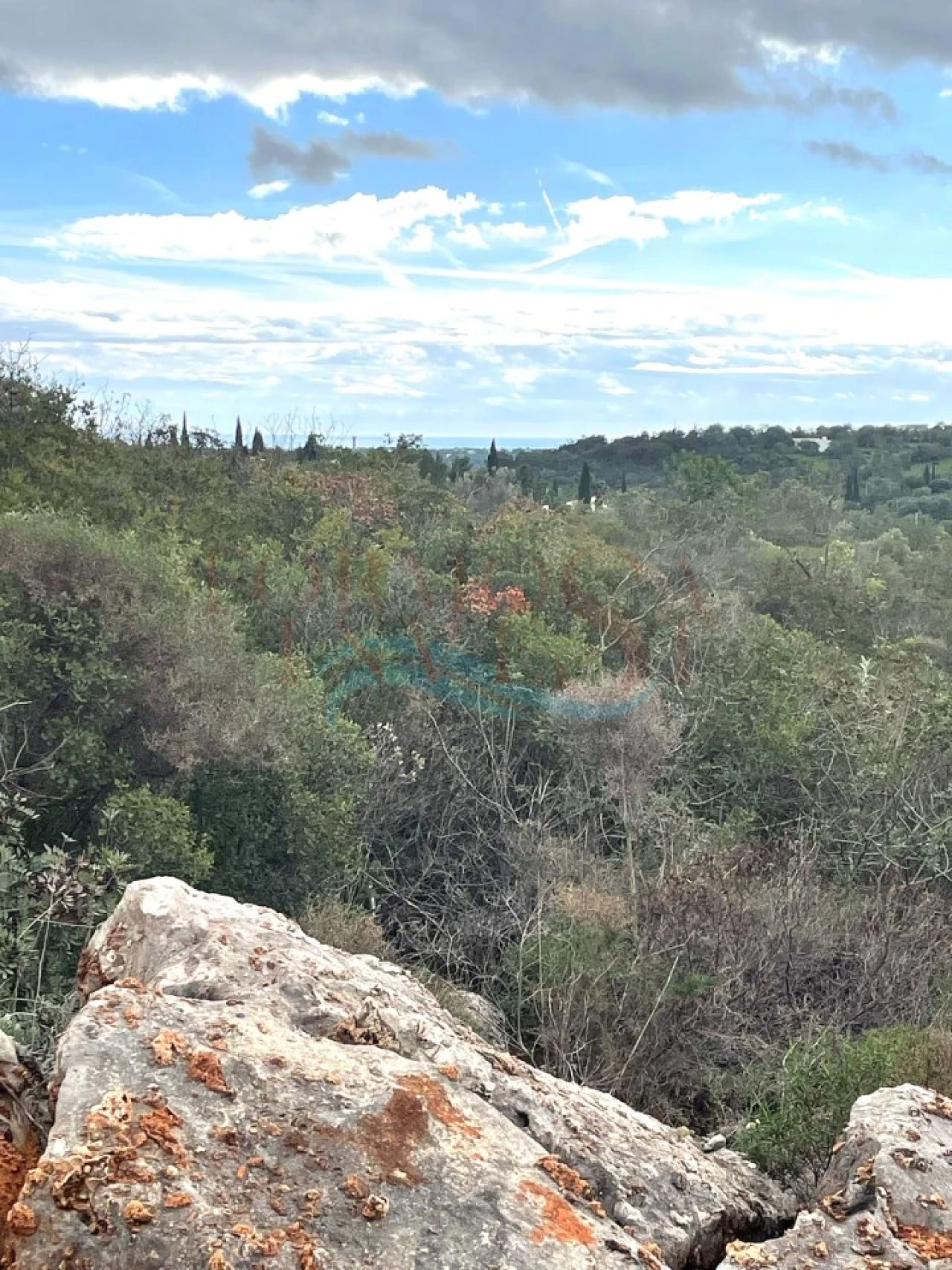 Terreno Agricola ou Rústico para Venda em Moncarapacho e Fuseta Foto 1