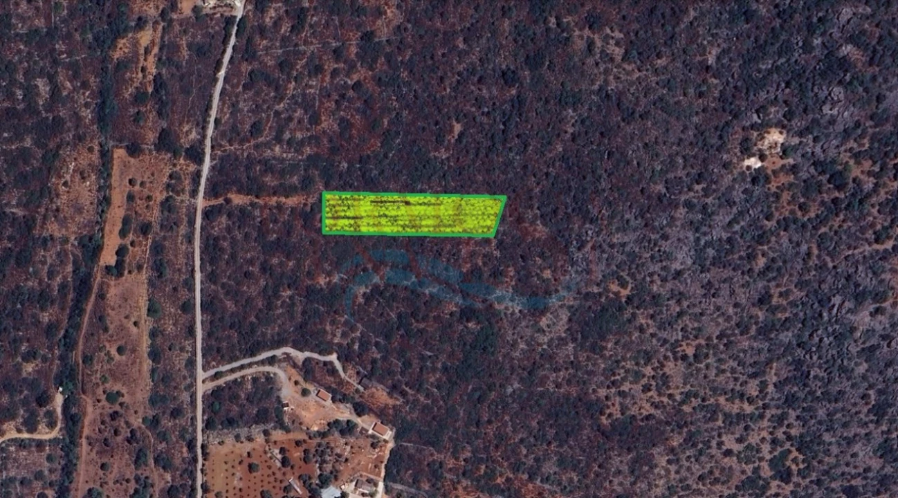 Terreno Agricola ou Rústico para Venda em Moncarapacho e Fuseta Foto 7