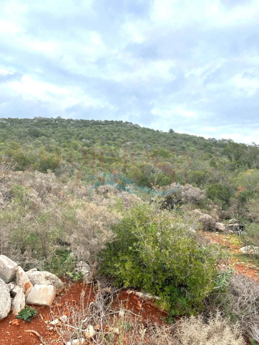 Terreno Agricola ou Rústico para Venda em Moncarapacho e Fuseta Foto 2