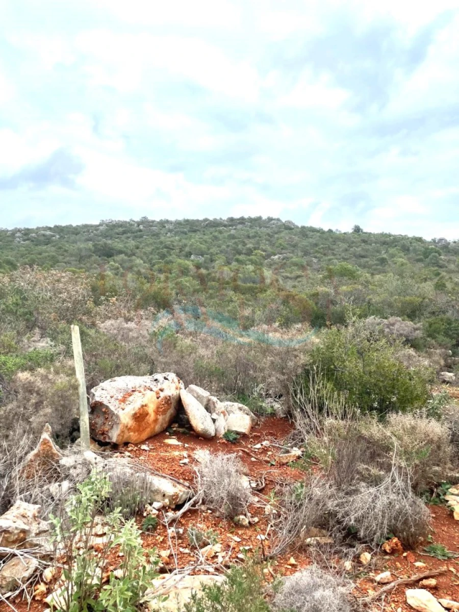 Terreno Agricola ou Rústico para Venda em Moncarapacho e Fuseta Foto 4