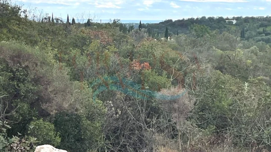 Terreno Agricola ou Rústico para Venda em Moncarapacho e Fuseta
