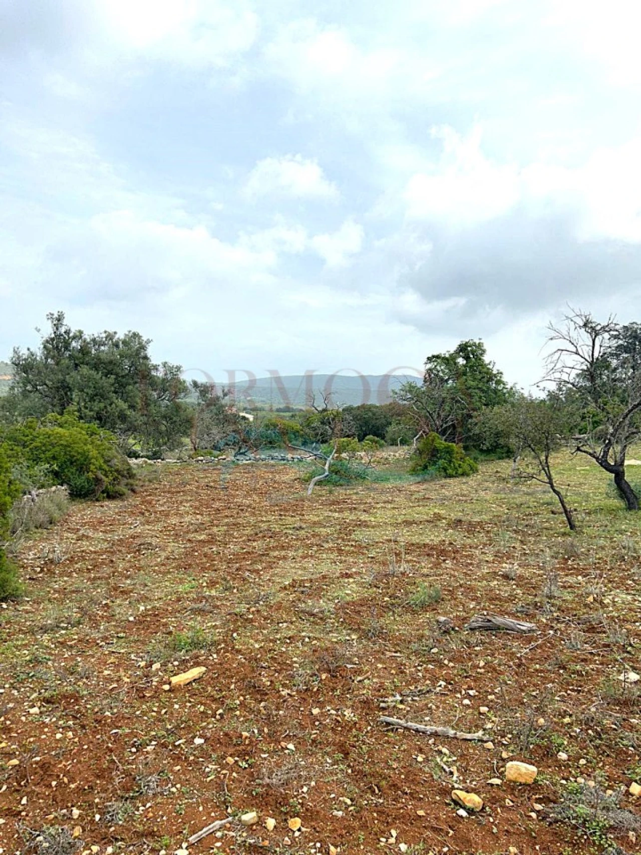 Terreno Agricola ou Rústico para Venda em Moncarapacho e Fuseta Foto 3
