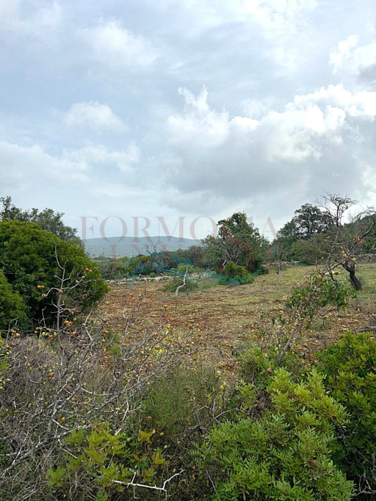 Terreno Agricola ou Rústico para Venda em Moncarapacho e Fuseta Foto 5