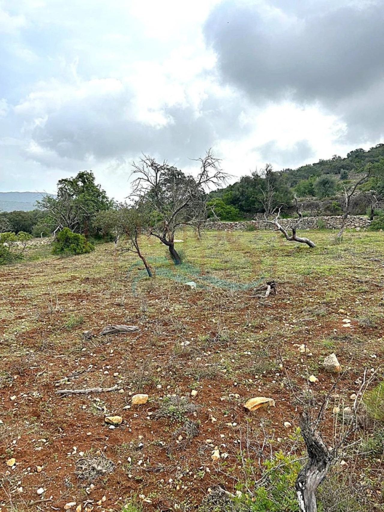 Terreno Agricola ou Rústico para Venda em Moncarapacho e Fuseta Foto 6