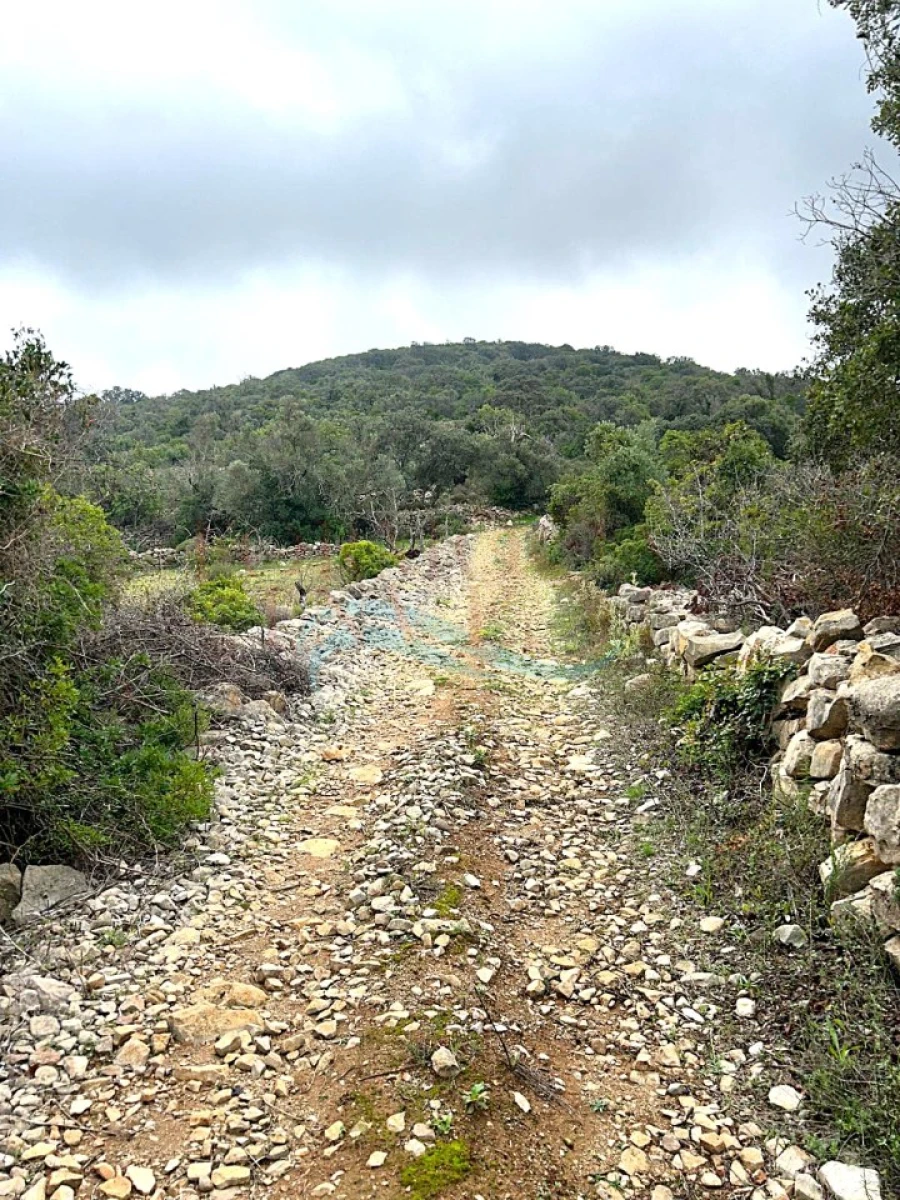 Terreno Agricola ou Rústico para Venda em Moncarapacho e Fuseta Foto 2