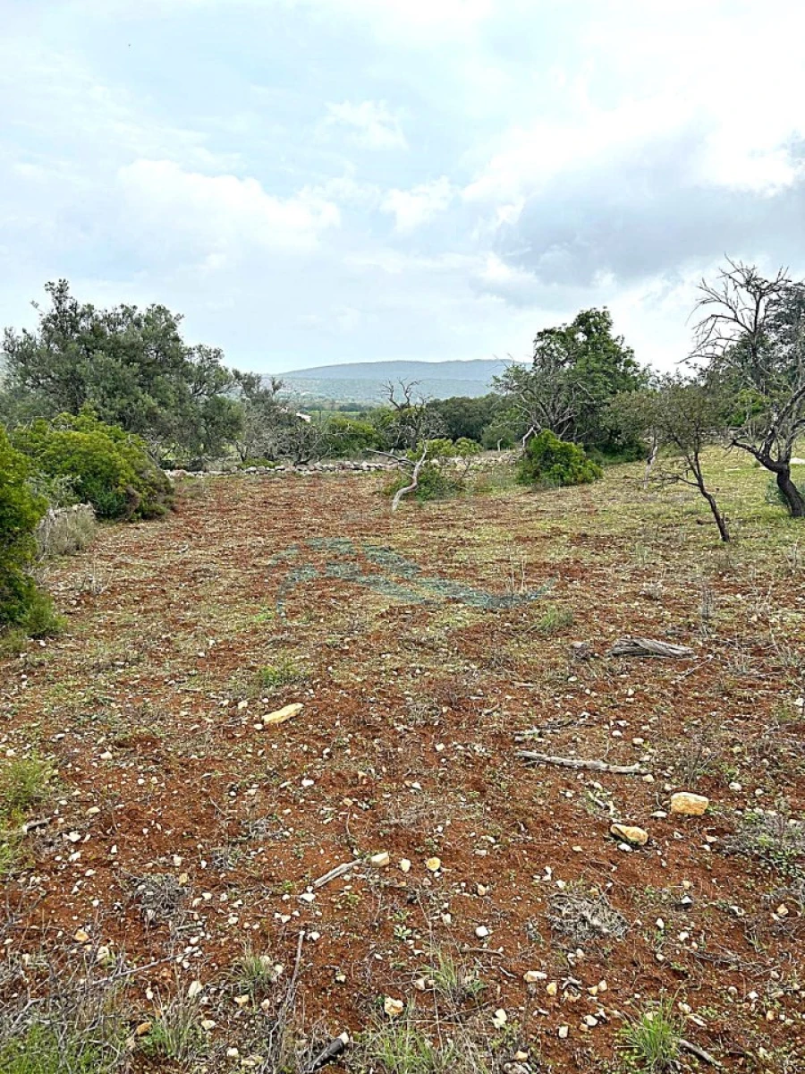 Terreno Agricola ou Rústico para Venda em Moncarapacho e Fuseta Foto 8