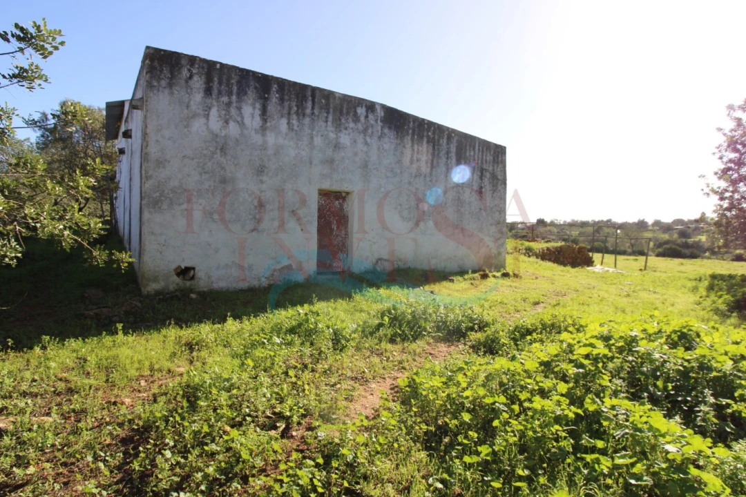 Moradia T3 para Venda em Pechão Foto 3