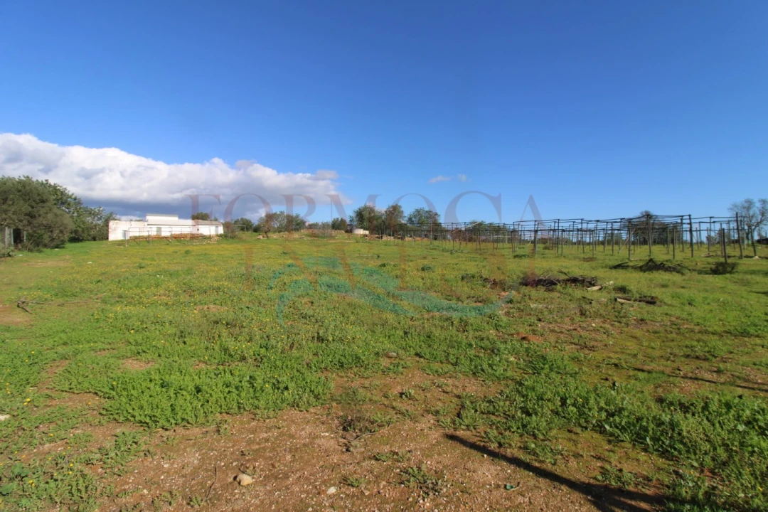 Moradia T3 para Venda em Pechão Foto 8