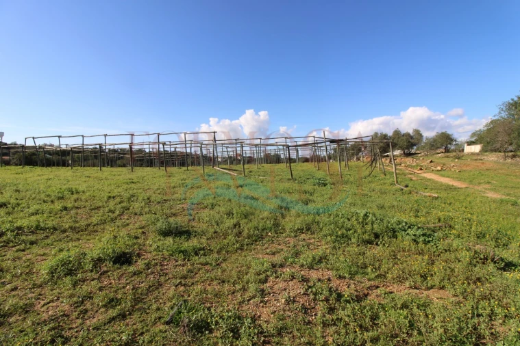 Moradia T3 para Venda em Pechão Foto 9