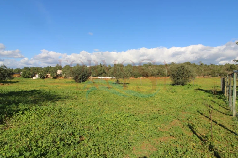 Moradia T3 para Venda em Pechão Foto 10