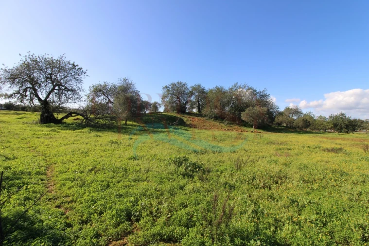 Moradia T3 para Venda em Pechão Foto 11