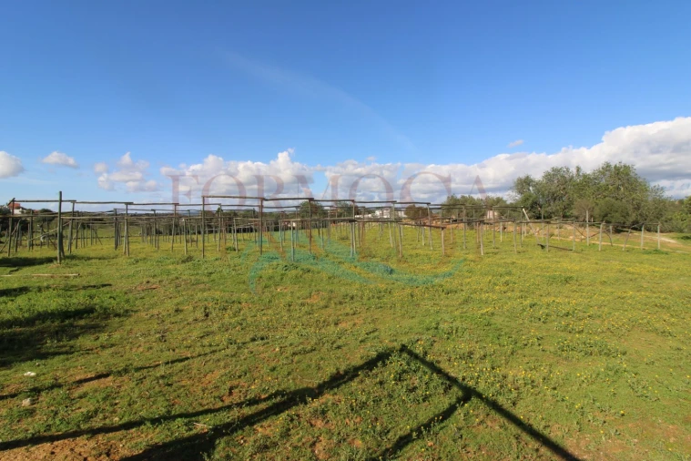 Moradia T3 para Venda em Pechão Foto 12