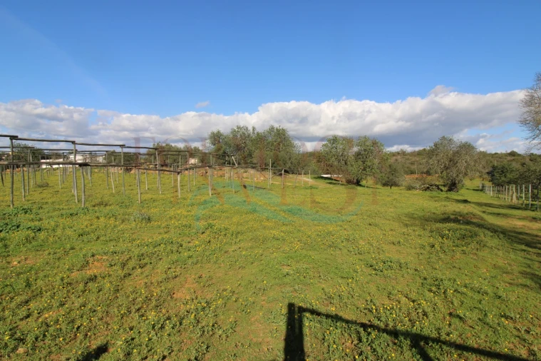 Moradia T3 para Venda em Pechão Foto 13