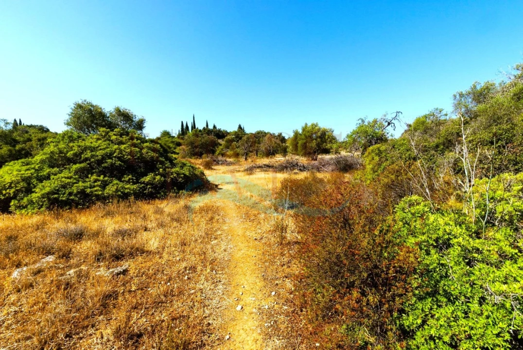 Terreno Agricola ou Rústico para Venda em Moncarapacho e Fuseta Foto 1