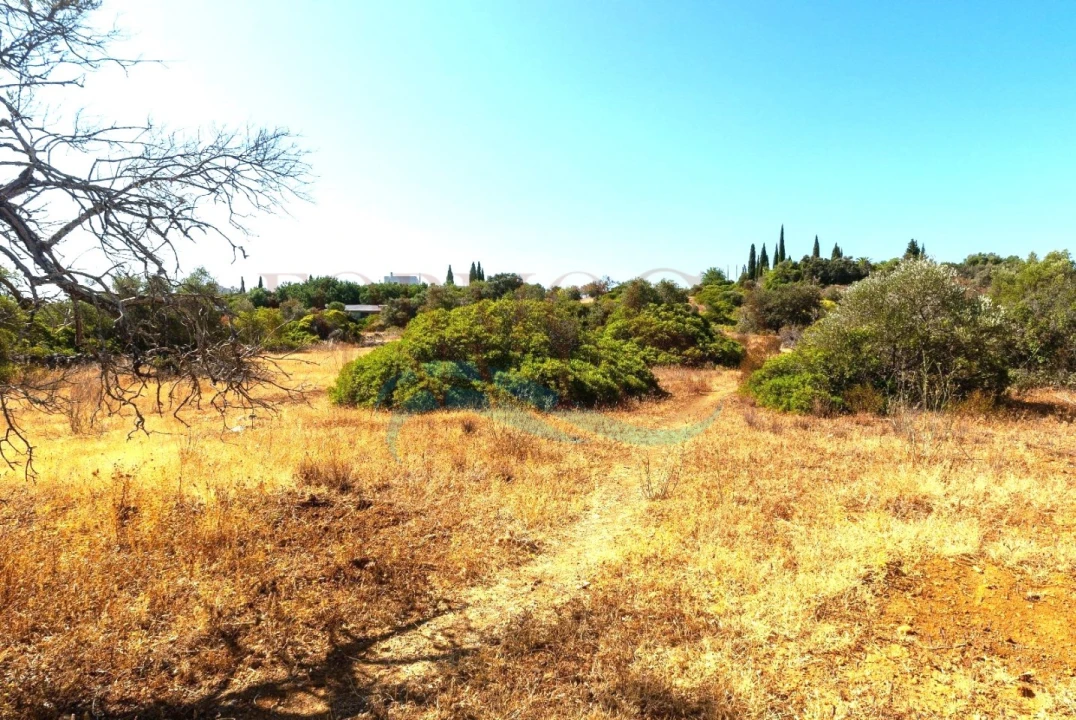 Terreno Agricola ou Rústico para Venda em Moncarapacho e Fuseta Foto 4
