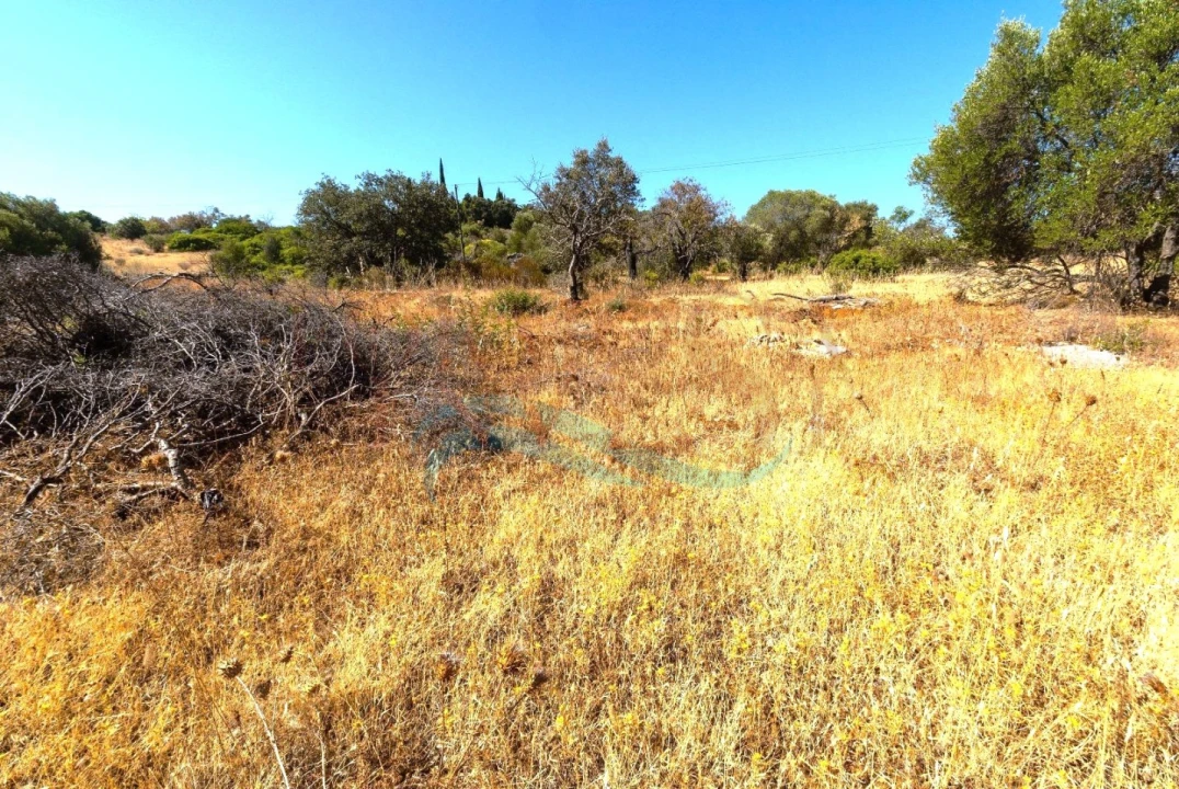 Terreno Agricola ou Rústico para Venda em Moncarapacho e Fuseta Foto 5