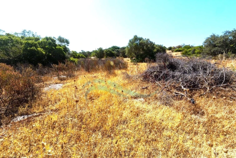 Terreno Agricola ou Rústico para Venda em Moncarapacho e Fuseta Foto 2