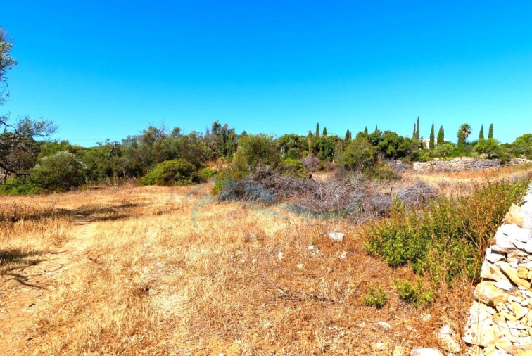 Terreno Agricola ou Rústico para Venda em Moncarapacho e Fuseta Foto 3