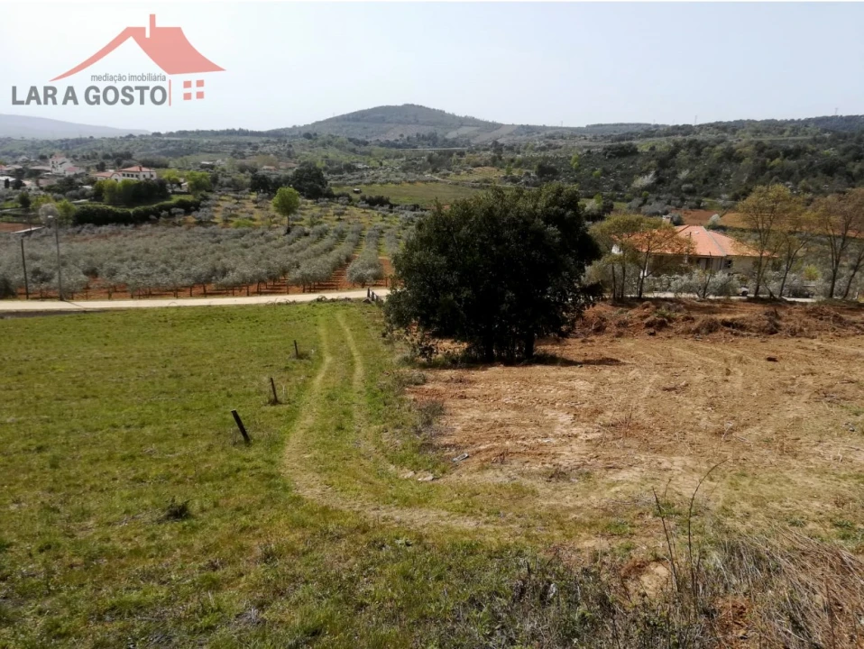 Terreno Agricola ou Rústico para Venda em Macedo de Cavaleiros Foto 2