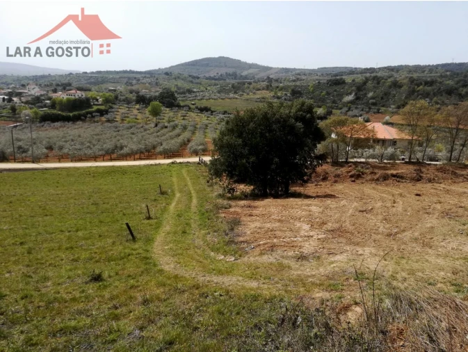 Terreno Agricola ou Rústico para Venda em Macedo de Cavaleiros Foto 2