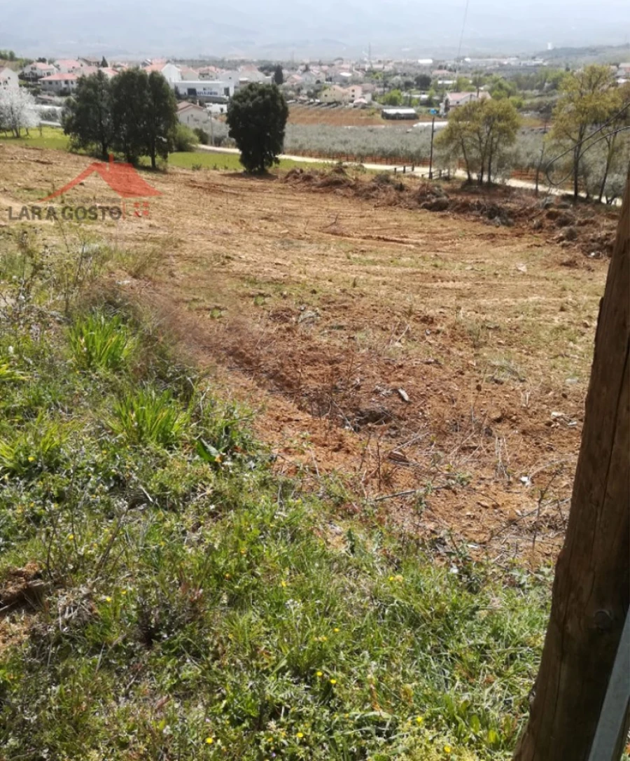 Terreno Agricola ou Rústico para Venda em Macedo de Cavaleiros Foto 4