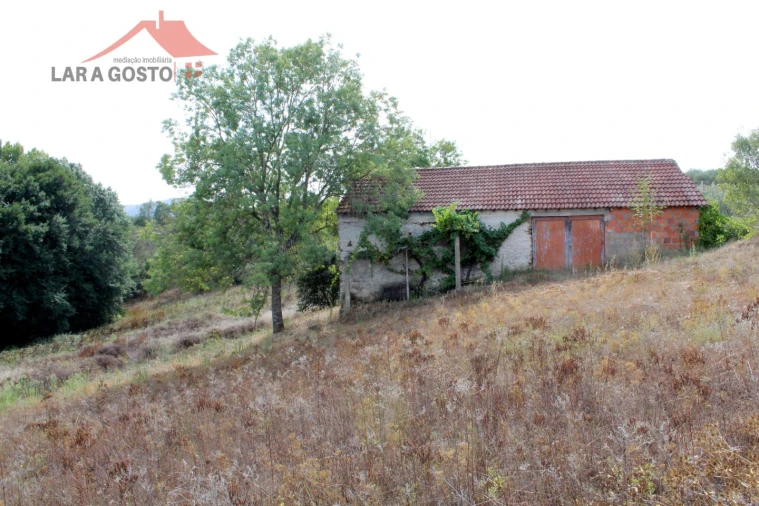 Moradia T2 para Venda em Vale da Porca Foto 4