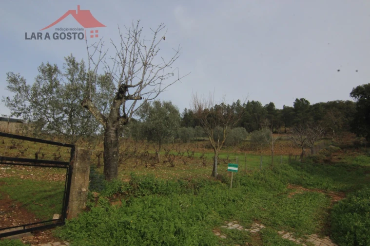 Terreno para Venda em Sezulfe Foto 4