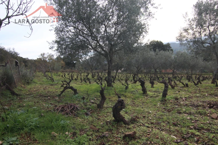 Terreno para Venda em Sezulfe Foto 7