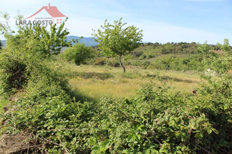 Terreno para Venda em Amendoeira Foto 3