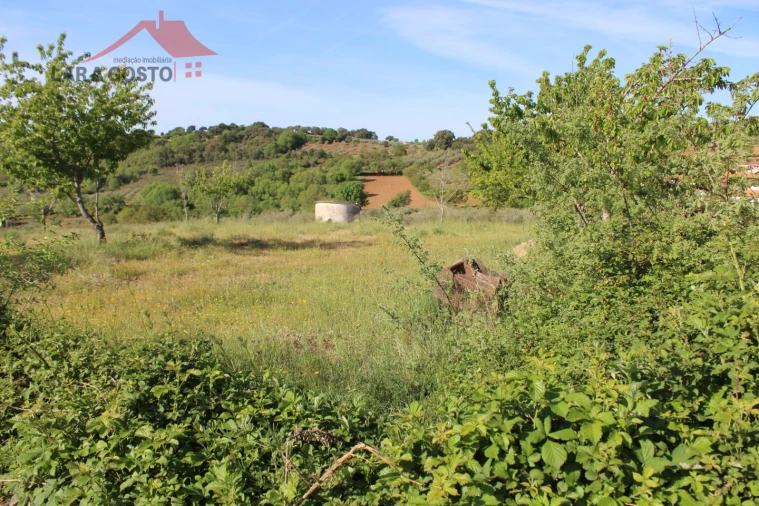 Terreno para Venda em Amendoeira Foto 4