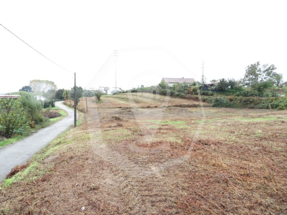 Terreno Agricola ou Rústico para Venda em Águeda e Borralha Foto 1