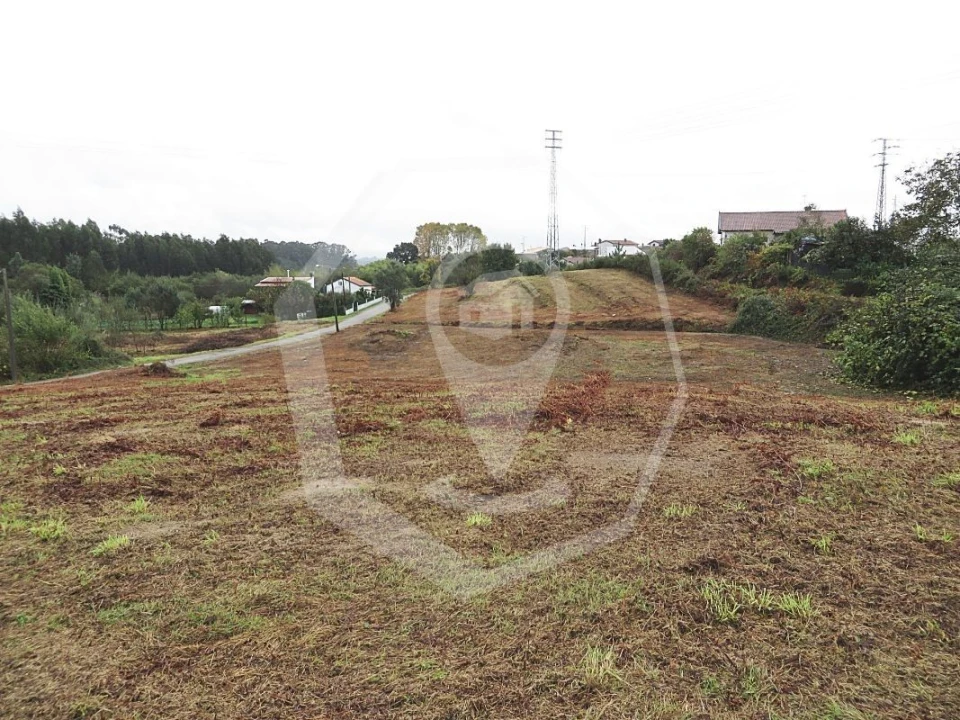 Terreno Agricola ou Rústico para Venda em Águeda e Borralha Foto 2
