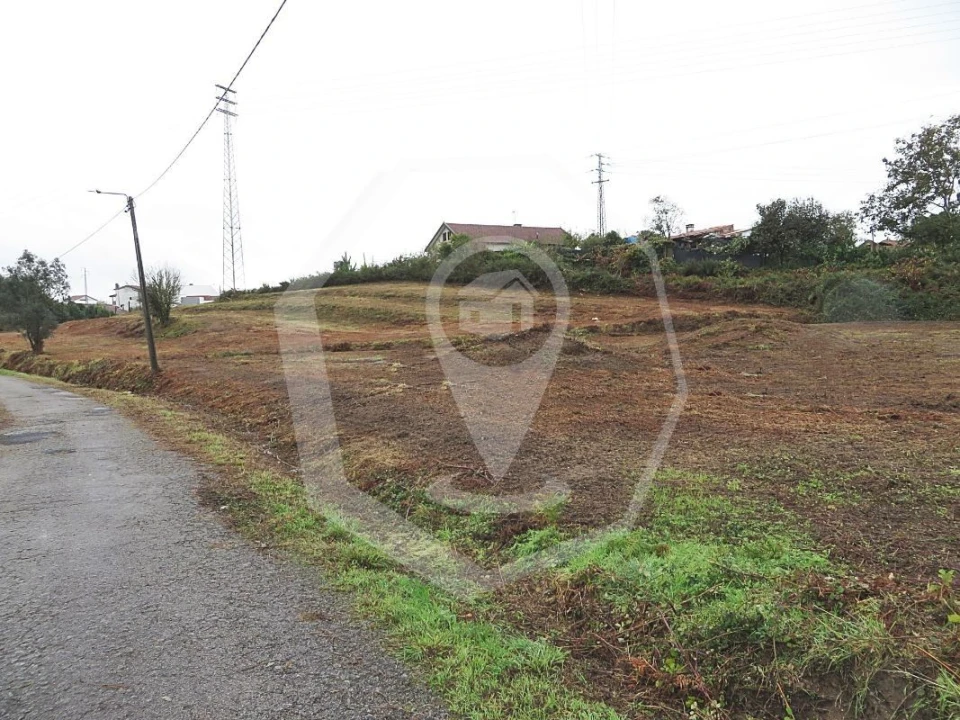 Terreno Agricola ou Rústico para Venda em Águeda e Borralha Foto 3