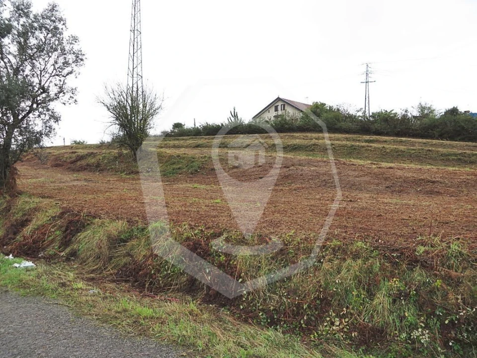 Terreno Agricola ou Rústico para Venda em Águeda e Borralha Foto 4