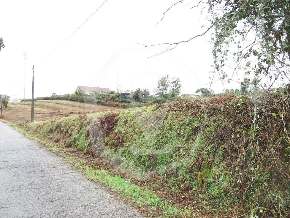 Terreno Agricola ou Rústico para Venda em Águeda e Borralha Foto 6