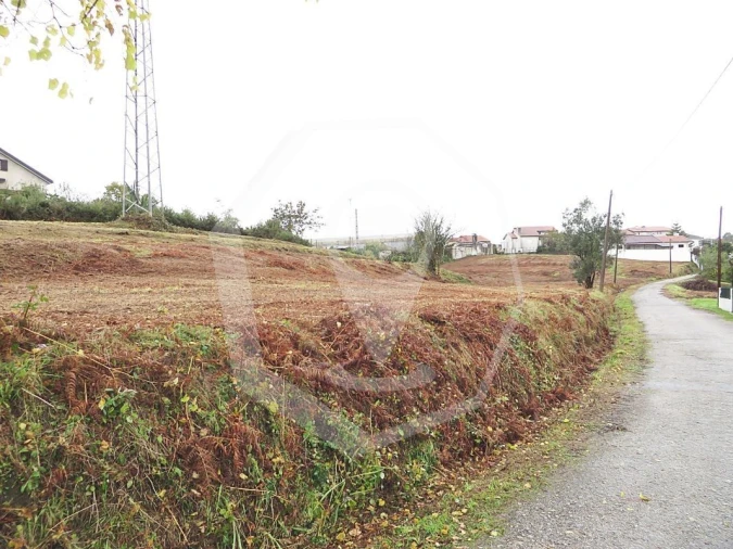 Terreno Agricola ou Rústico para Venda em Águeda e Borralha Foto 5