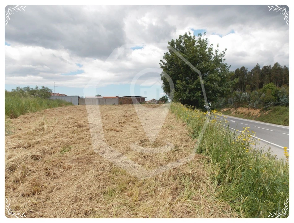 Terreno Agricola ou Rústico para Venda em Oliveira do Bairro Foto 1