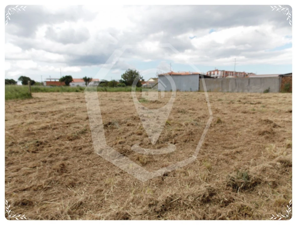 Terreno Agricola ou Rústico para Venda em Oliveira do Bairro Foto 2