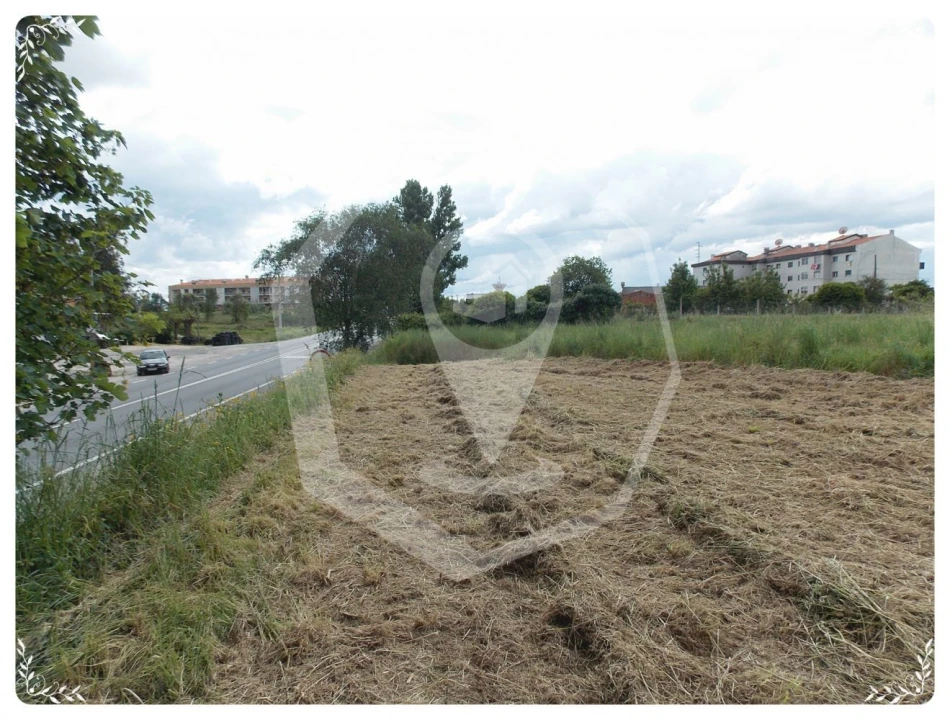 Terreno Agricola ou Rústico para Venda em Oliveira do Bairro Foto 6