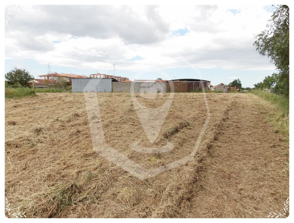 Terreno Agricola ou Rústico para Venda em Oliveira do Bairro Foto 7