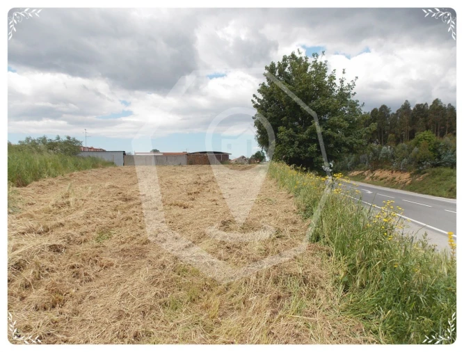 Terreno Agricola ou Rústico para Venda em Oliveira do Bairro Foto 1