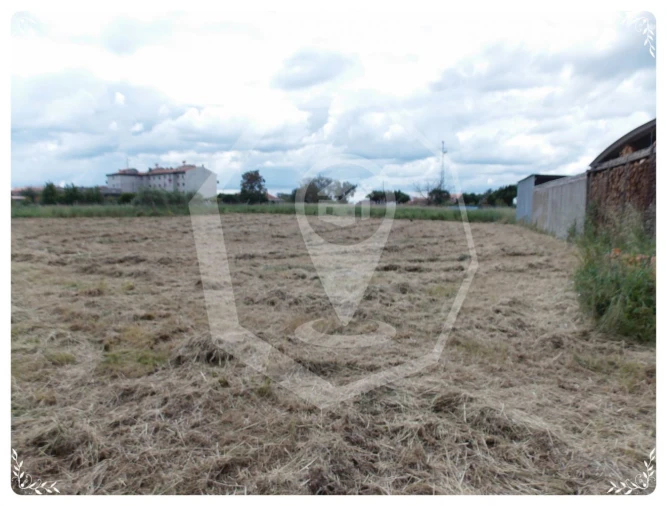Terreno Agricola ou Rústico para Venda em Oliveira do Bairro Foto 3