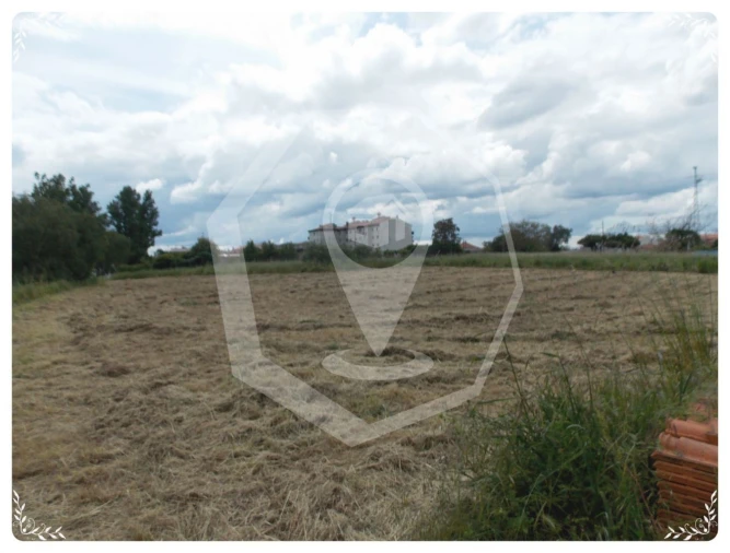 Terreno Agricola ou Rústico para Venda em Oliveira do Bairro Foto 4