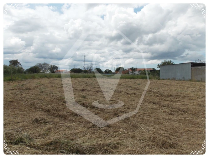Terreno Agricola ou Rústico para Venda em Oliveira do Bairro Foto 5