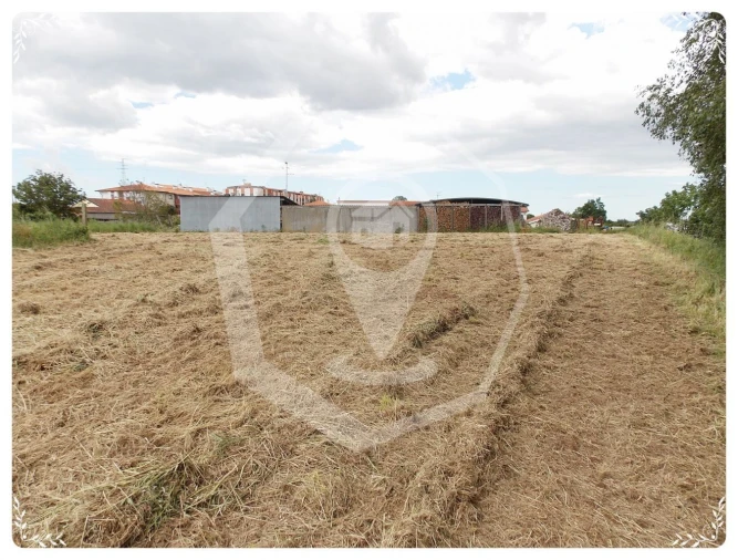 Terreno Agricola ou Rústico para Venda em Oliveira do Bairro Foto 7